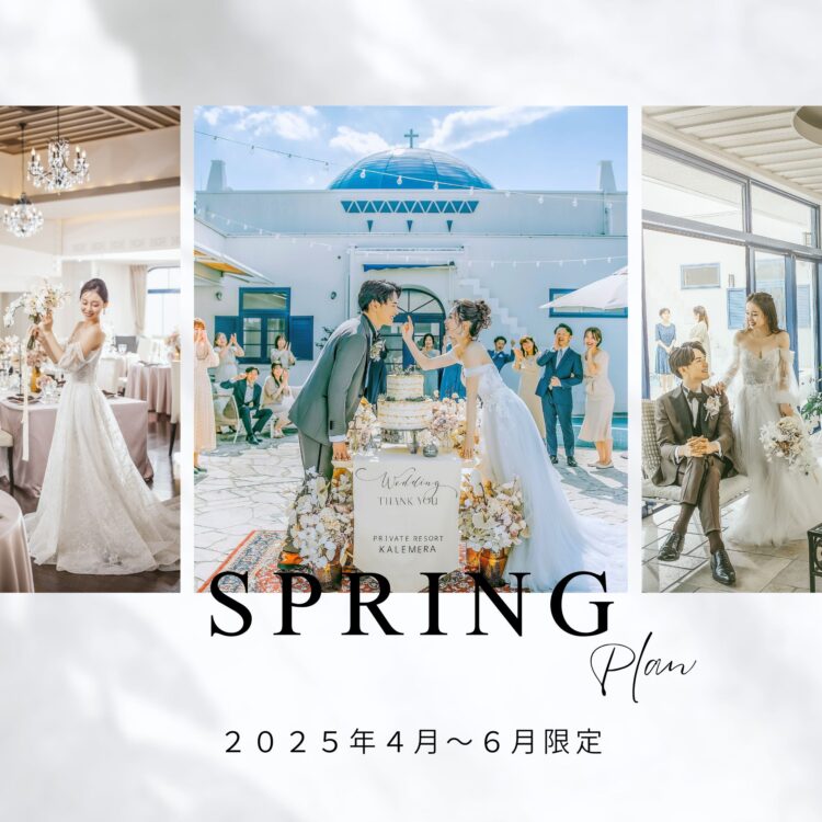 先着5組様限定【Spring Plan】人気シーズンプラン誕生＆おすすめフェア！